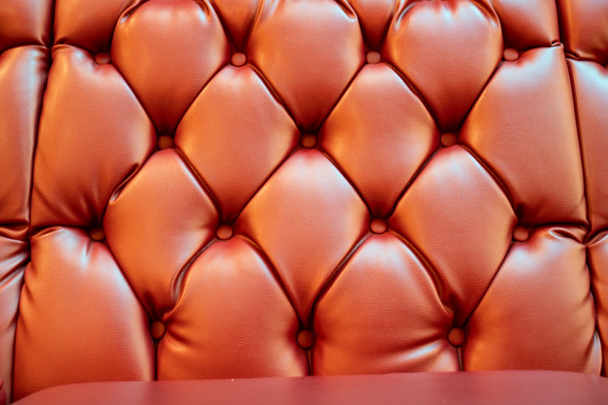 Ancient human bones laid out on an examination table for analysis