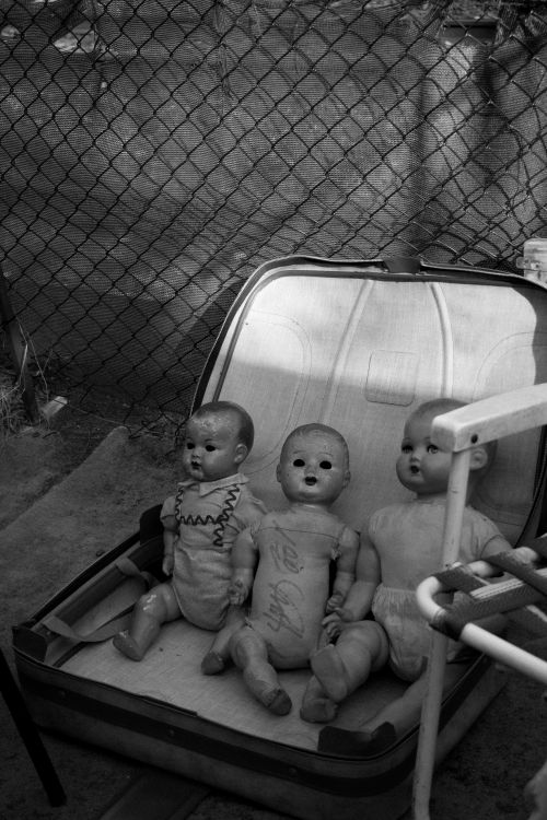 Free Three vintage dolls sitting inside an open suitcase, creating an eerie nostalgic scene. Stock Photo