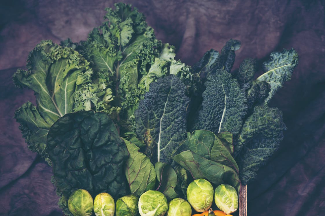 Free Variety of Green Vegetables Stock Photo