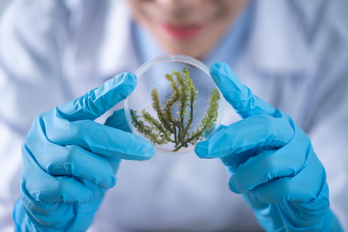 Healthcare professional in Germany