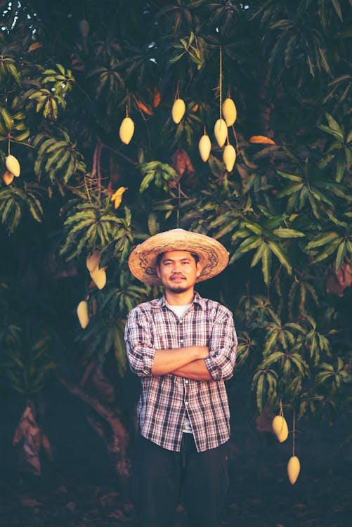 Photo of Man Standing In Front of Mango Tree with His Arms Crossed