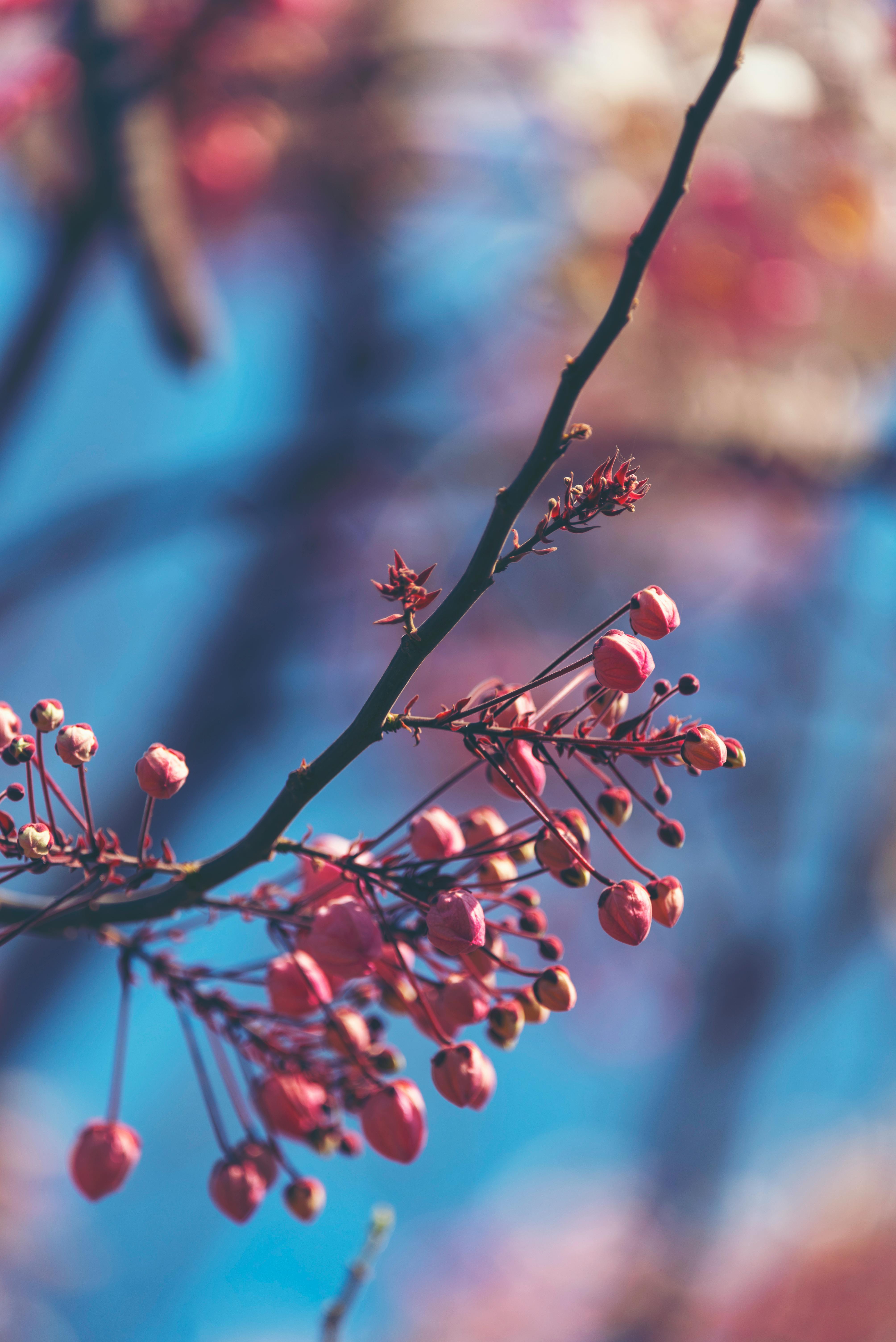 Robotic liquid handling system working with microplates in a biotechnology laboratory.