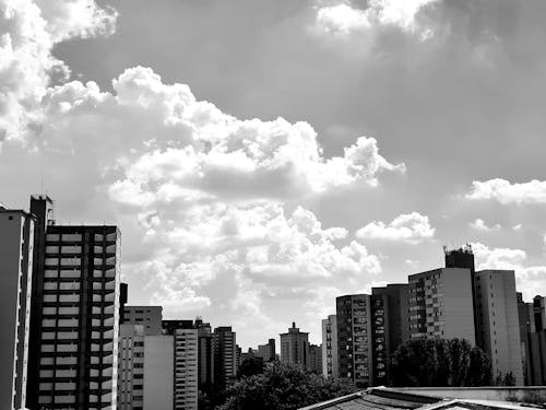 cidade 