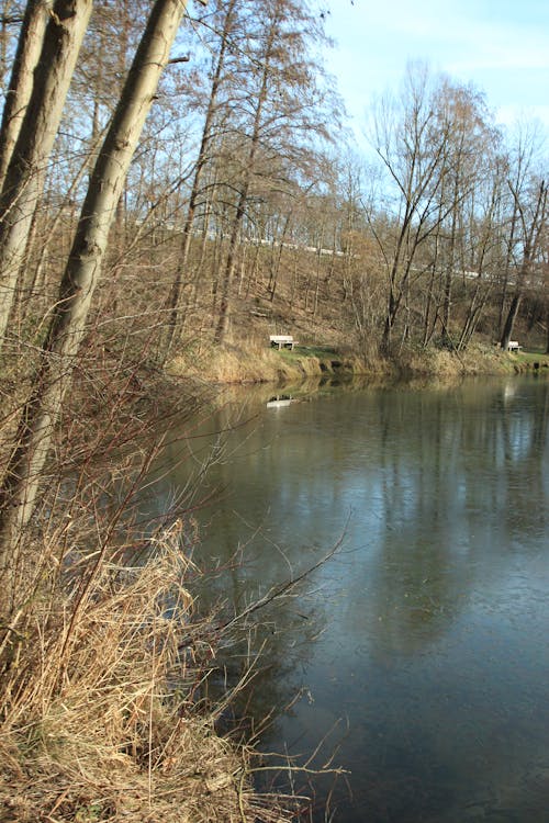 Kostenloses Stock Foto zu bäume im herbst, blaue himmel, blauer see