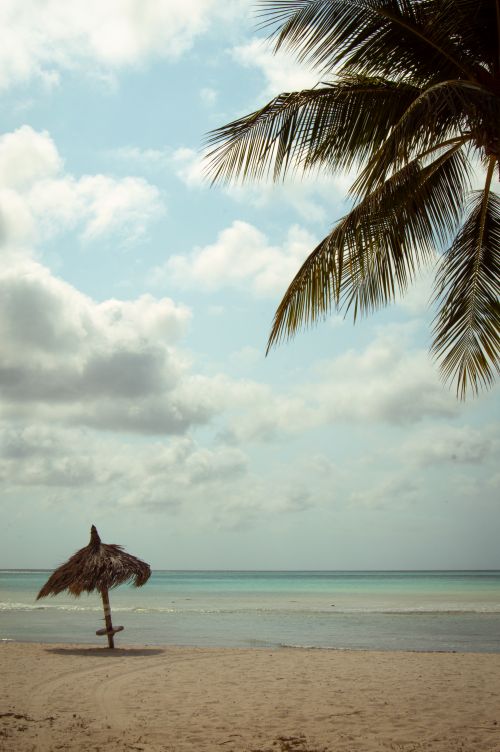 Free Serene tropical beach with clear skies, palm leaves, and a straw umbrella. Stock Photo