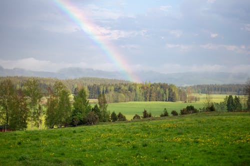 Základová fotografie zdarma na téma duha, příroda, sluneční záře