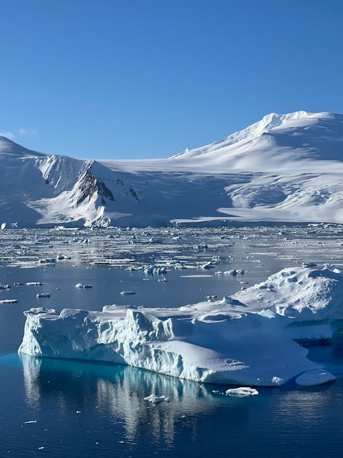 Бесплатное стоковое фото с айсберг, Антарктический, вода