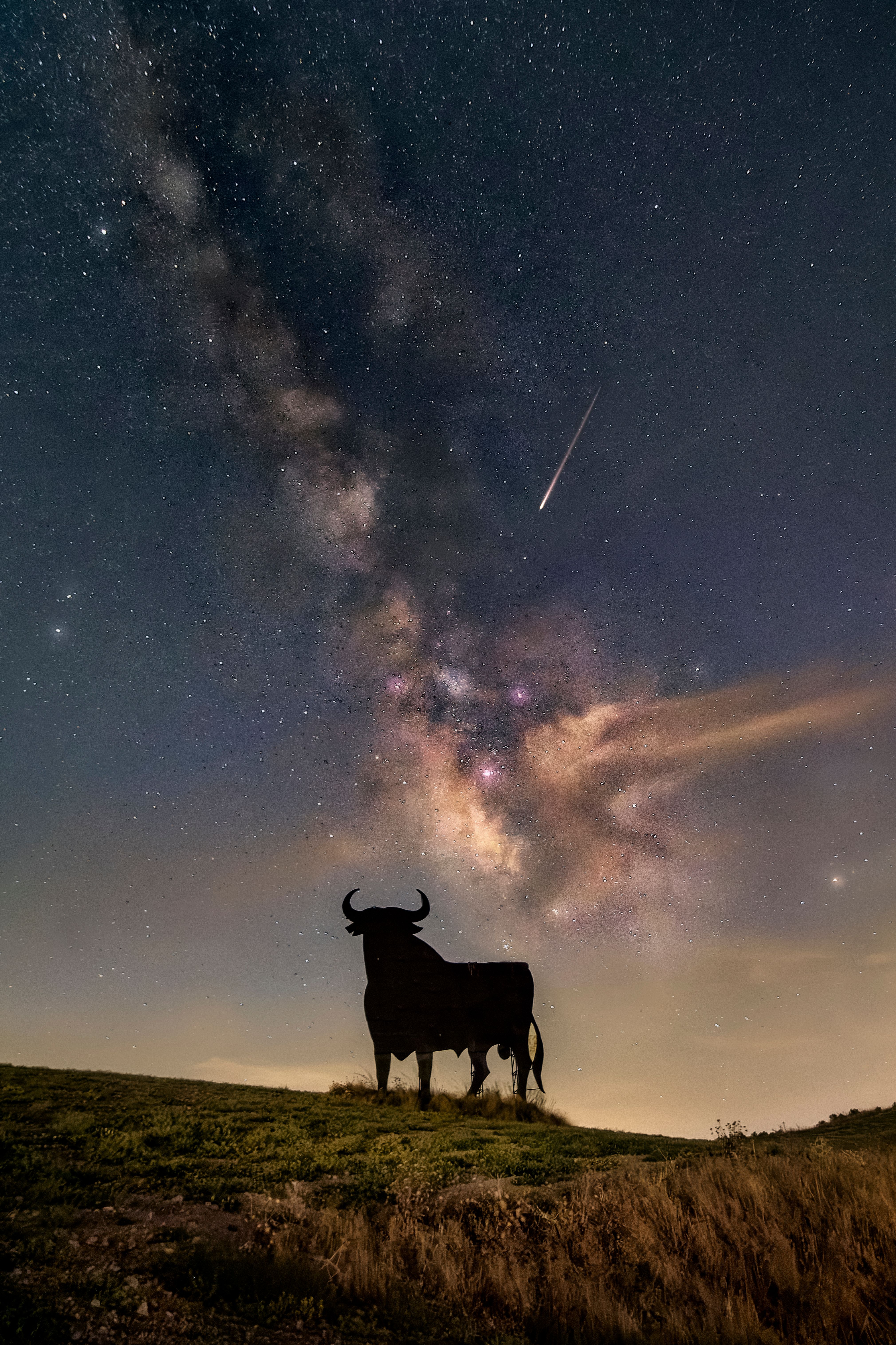 Silhouette of a bull beneath a starry sky with the Milky Way and shooting star in Córdoba, Spain.