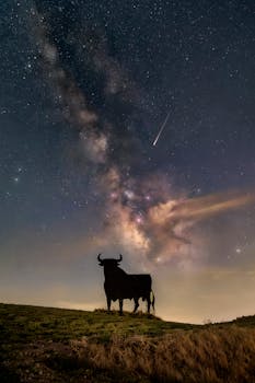Silhouette of a bull beneath a starry sky with the Milky Way and shooting star in Córdoba, Spain.