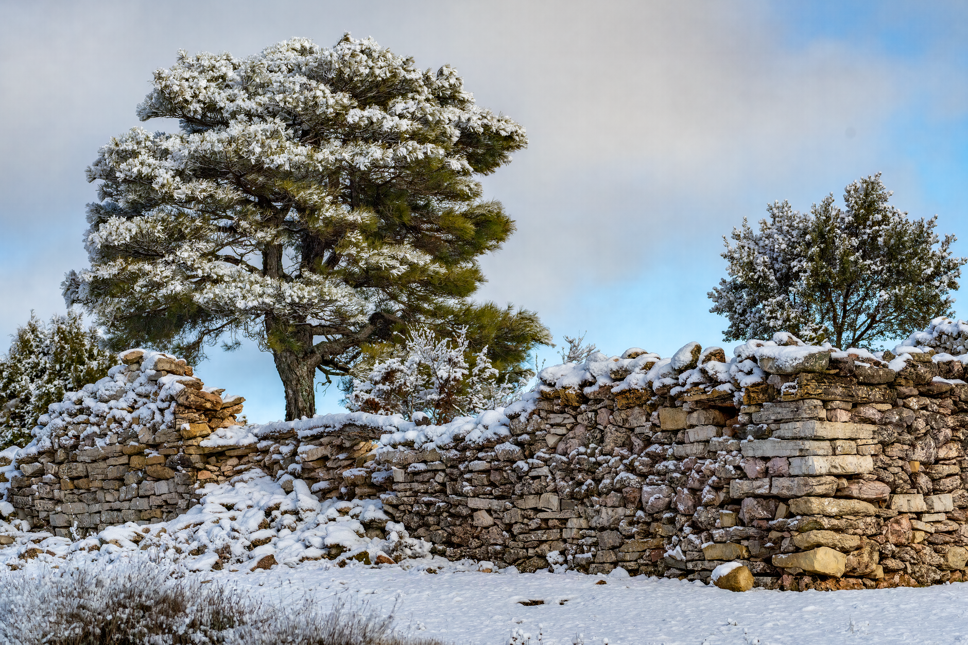 Sobrevivir tu Primer Invierno en España