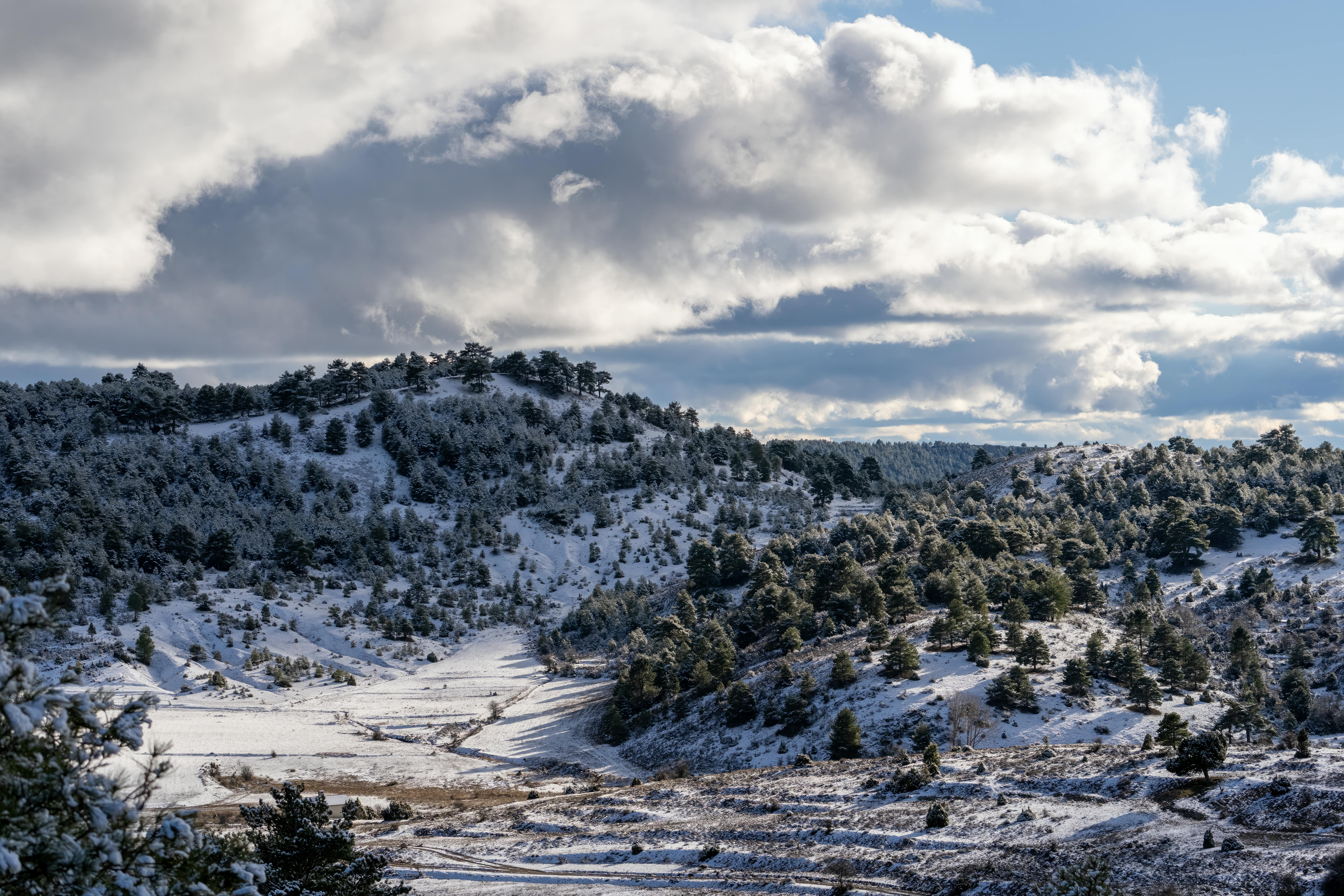 Breathtaking winter scene in Huerta del Marquesado, showcasing snow-covered hills and pine trees under cloudy skies. - Cuenca