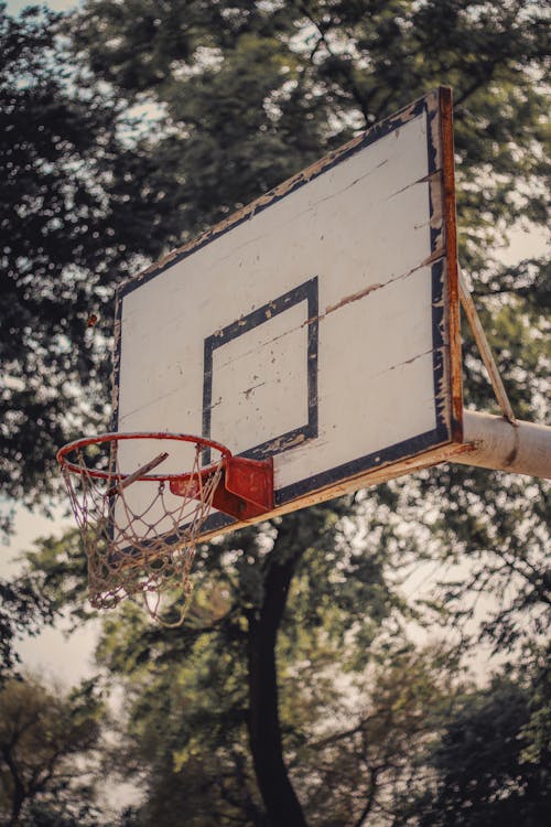 Kostnadsfri bild av basket slutar aldrig, basketboll, basketlivet