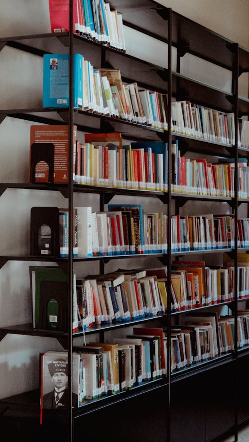 A black book shelf with books on it