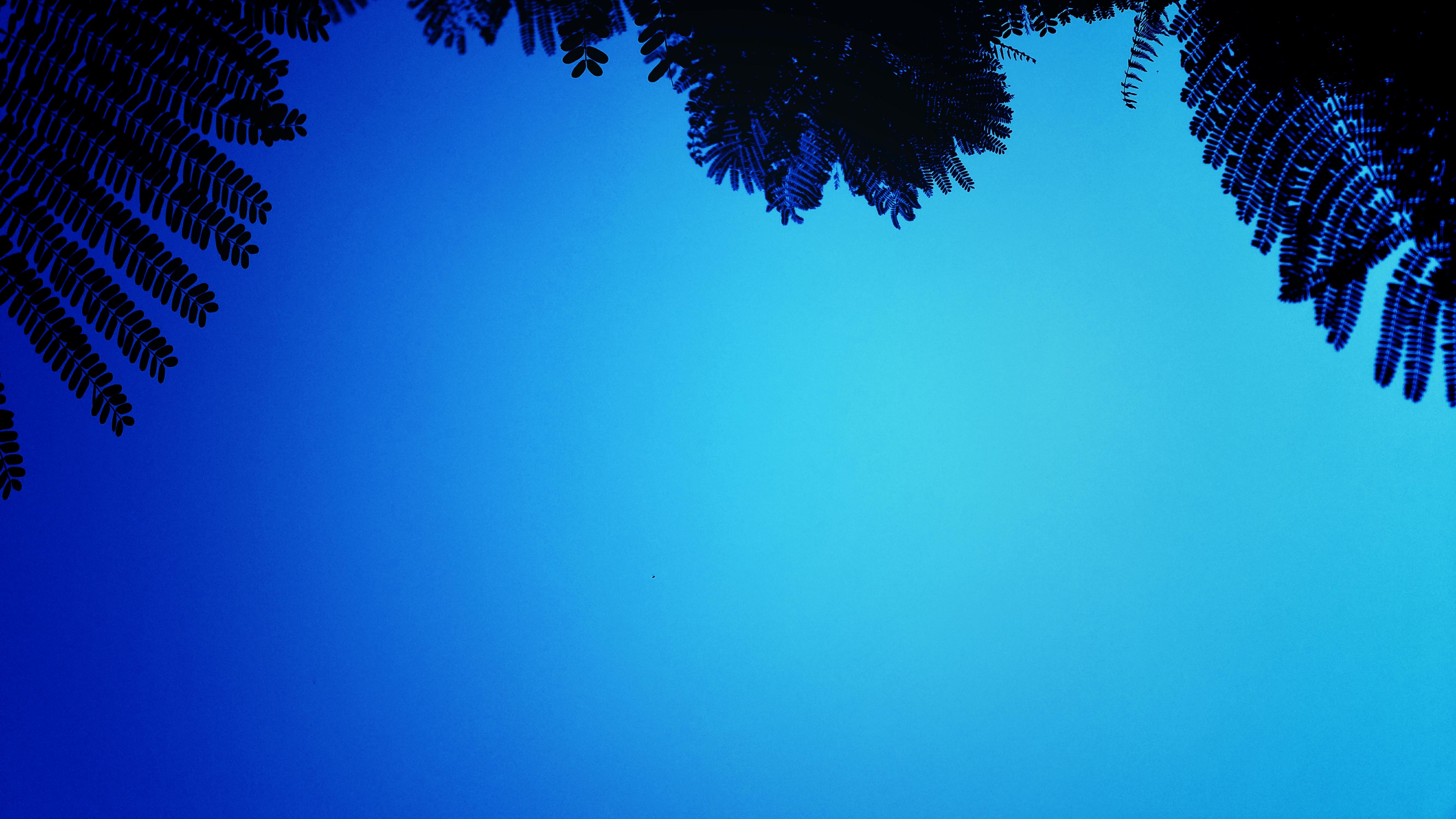 Free stock photo of black, blue, blue sky