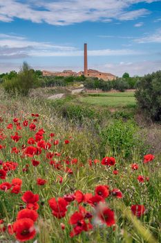 Charming rural scene of red poppies in a field with a distant chimney under a clear sky.