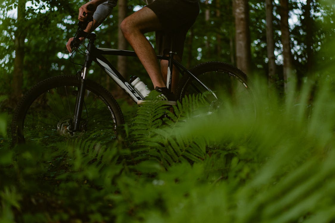 A man riding a bike through the woods