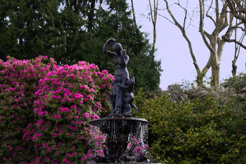 Foto profissional grátis de chafariz, escultura, jardim