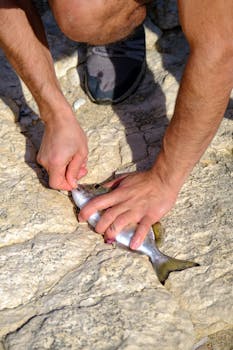 Close-up of a man's hands handling a fish on rocky terrain, showcasing a fishing moment.