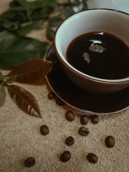 Ilmainen kuvapankkikuva tunnisteilla arabica-kahvia, baari kahvila, kahvi