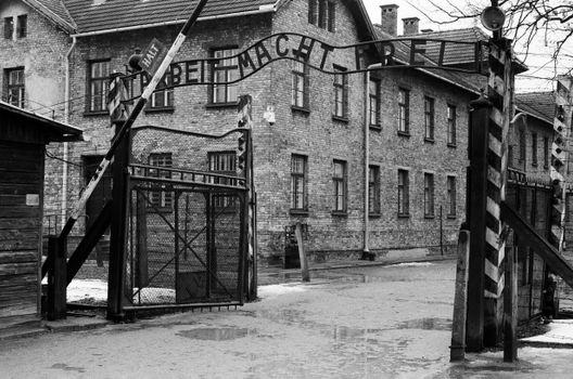 Auschwitz-Birkenau private visit — Krakow