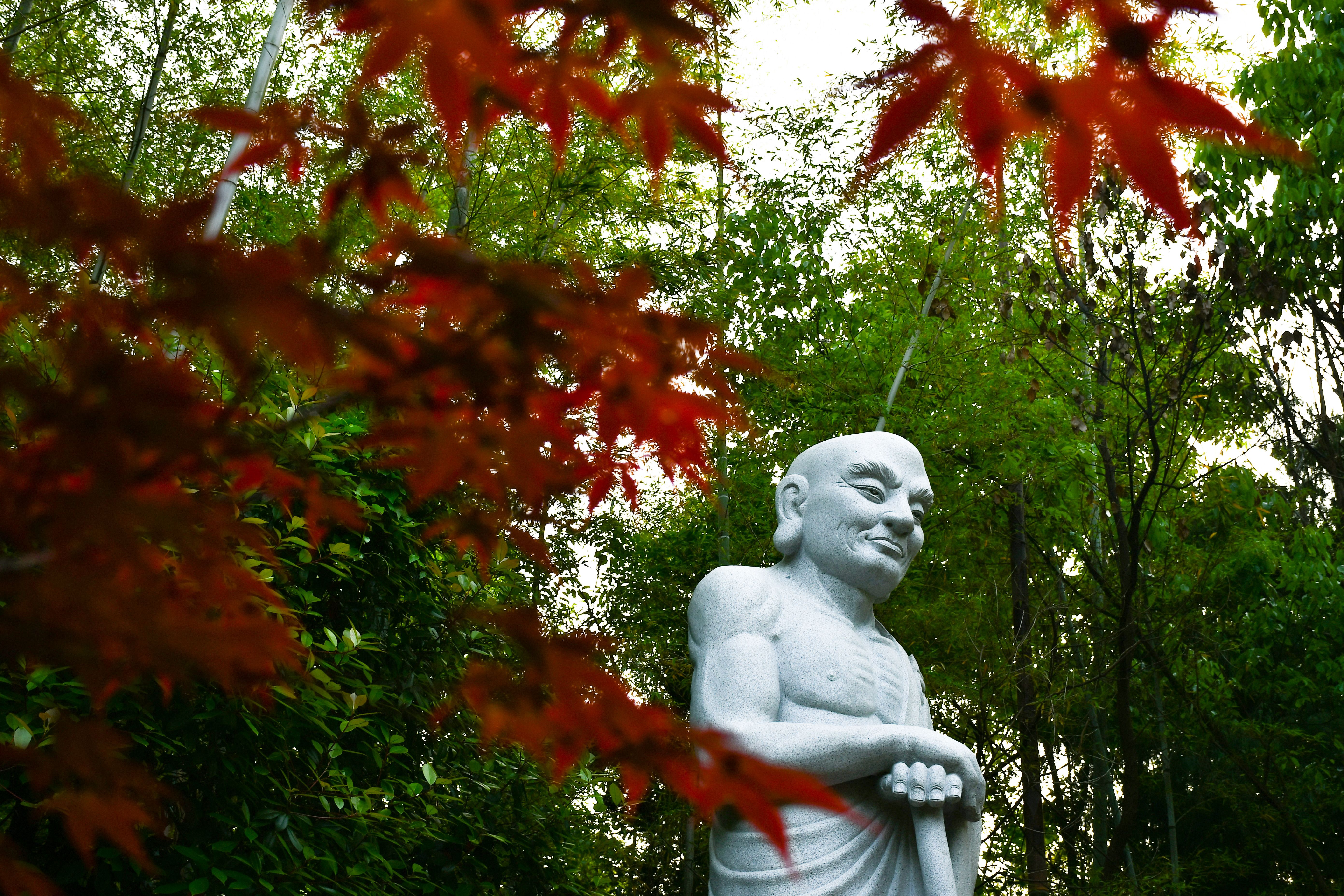 What an ancient Chinese philosopher can teach us about Americans’ obsession with college rankings — Photo by 袁 勇博 on Pexels