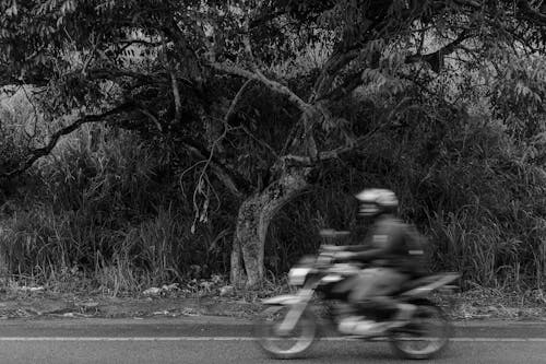 Δωρεάν στοκ φωτογραφιών με δέντρο το φθινόπωρο, μαύρη μοτοσικλέτα