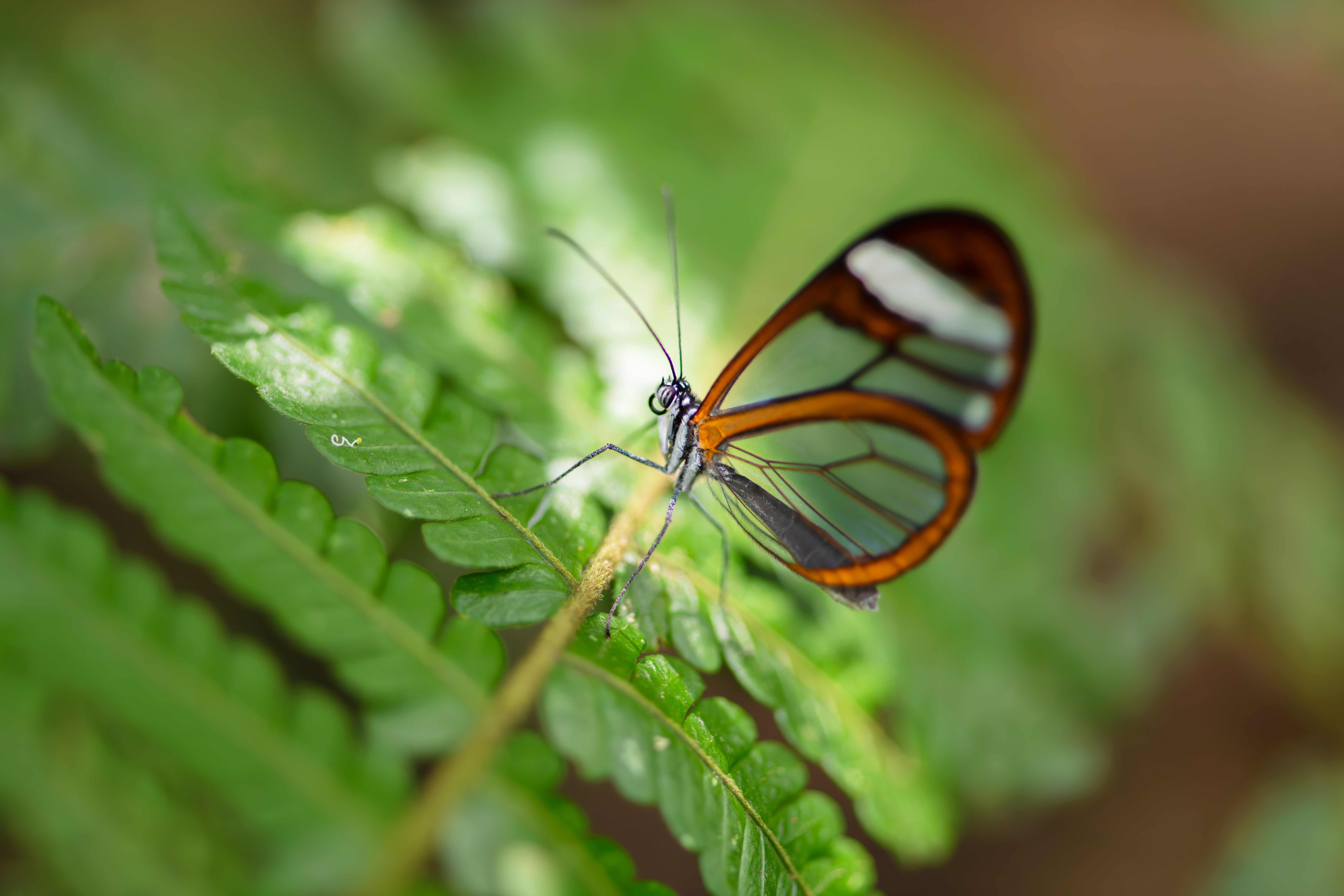 Project Glasswing: Securing critical software for the AI era