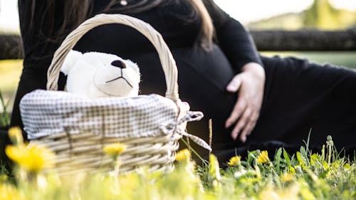 Zwangere Vrouw Zittend Op Gras In De Buurt Van Picknickmand