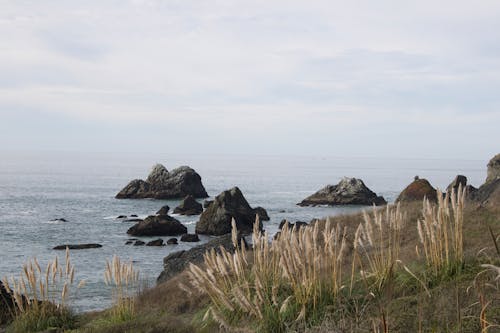 加州, 加州海岸, 夏天 的 免费素材图片
