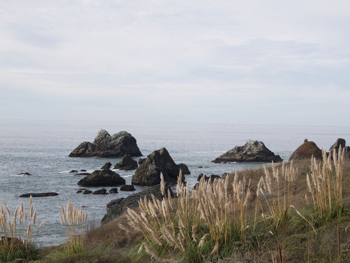 3 Day Anxiety and Depression Healing Retreat in Quebec, CA 2