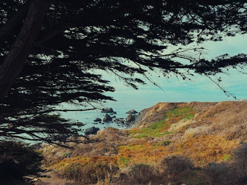 加州, 加州海岸, 海岸 的 免费素材图片