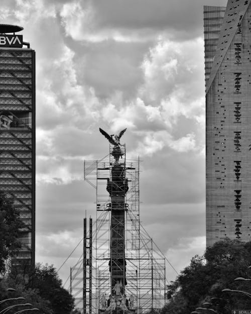 Free stock photo of angel de la independencia, architecture of the city, black and white