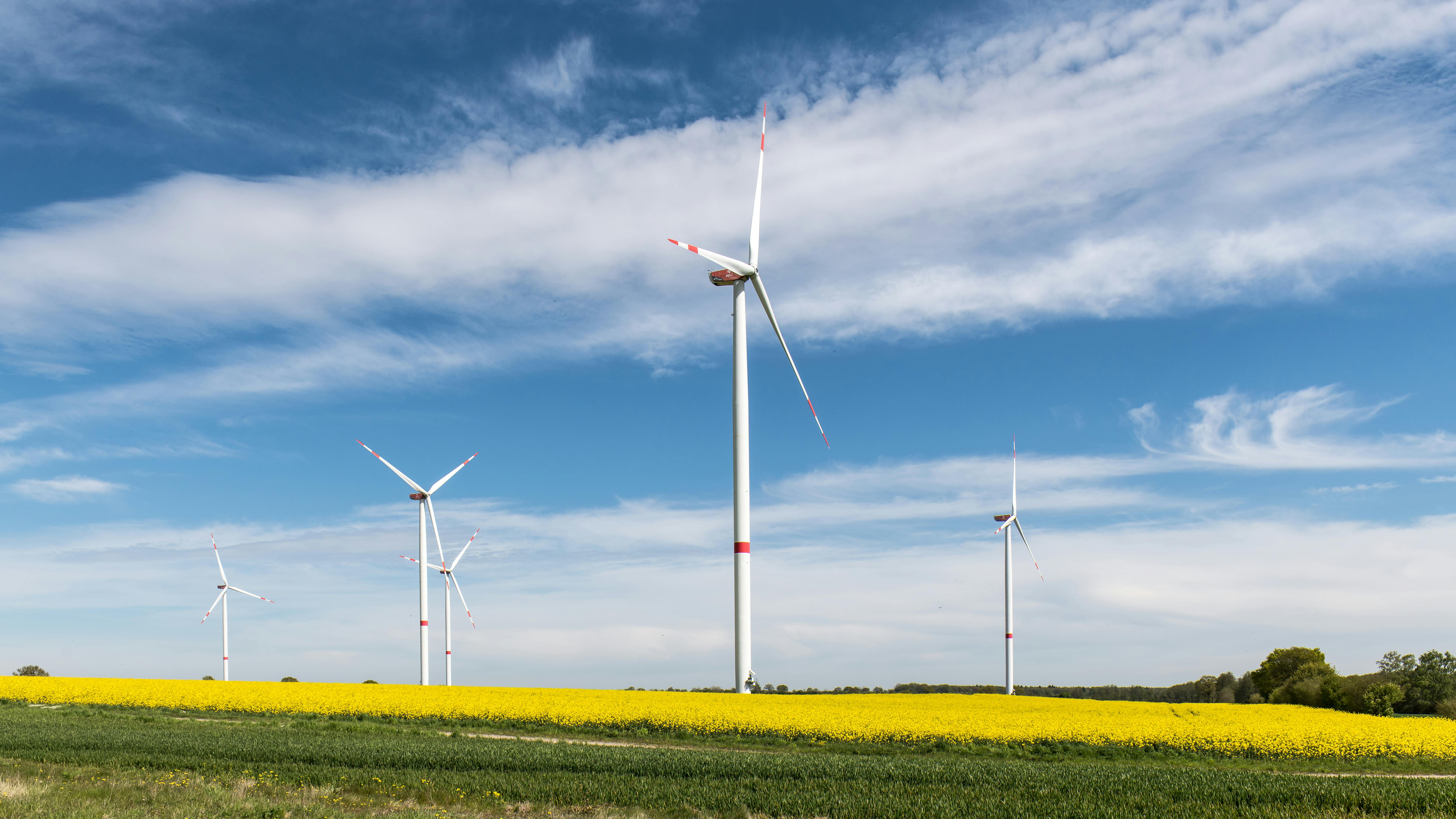 Sustainability of green hydrogen technologies depends on energy mix and supply chain — Photo by Wolfgang Weiser on Pexels