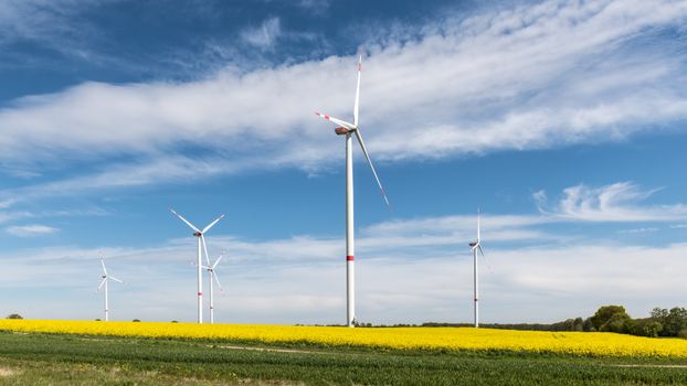 Wind turbines stand tall in a vibrant yellow rapeseed field, showcasing renewable energy in rural Geesthacht, Germany.