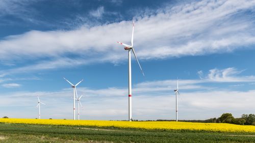 Free Wind turbines stand tall in a vibrant yellow rapeseed field, showcasing renewable energy in rural Geesthacht, Germany. Stock Photo