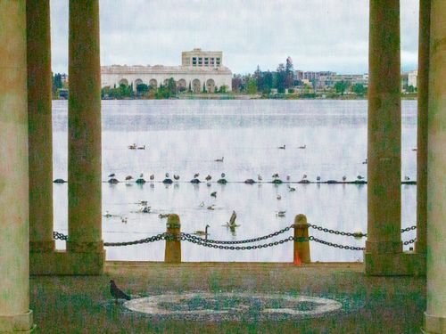 Free LAKE MERRITT Stock Photo
