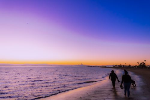 Free Sandy Beach Stock Photo