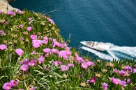 在土耳其安塔利亚的悬崖上，色彩缤纷的春花绽放，一艘船在下方蔚蓝的大海中滑行