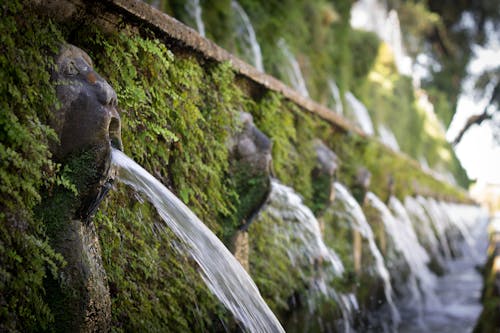 Free stock photo of art, fountain, grass