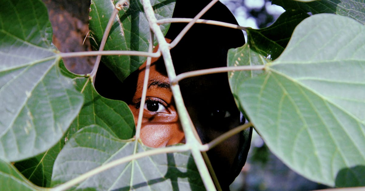 The Hollowing 1 image text