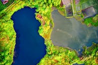 印度尼西亚万丹郁郁葱葱的绿色湖泊和农田的空中俯瞰景象令人惊叹