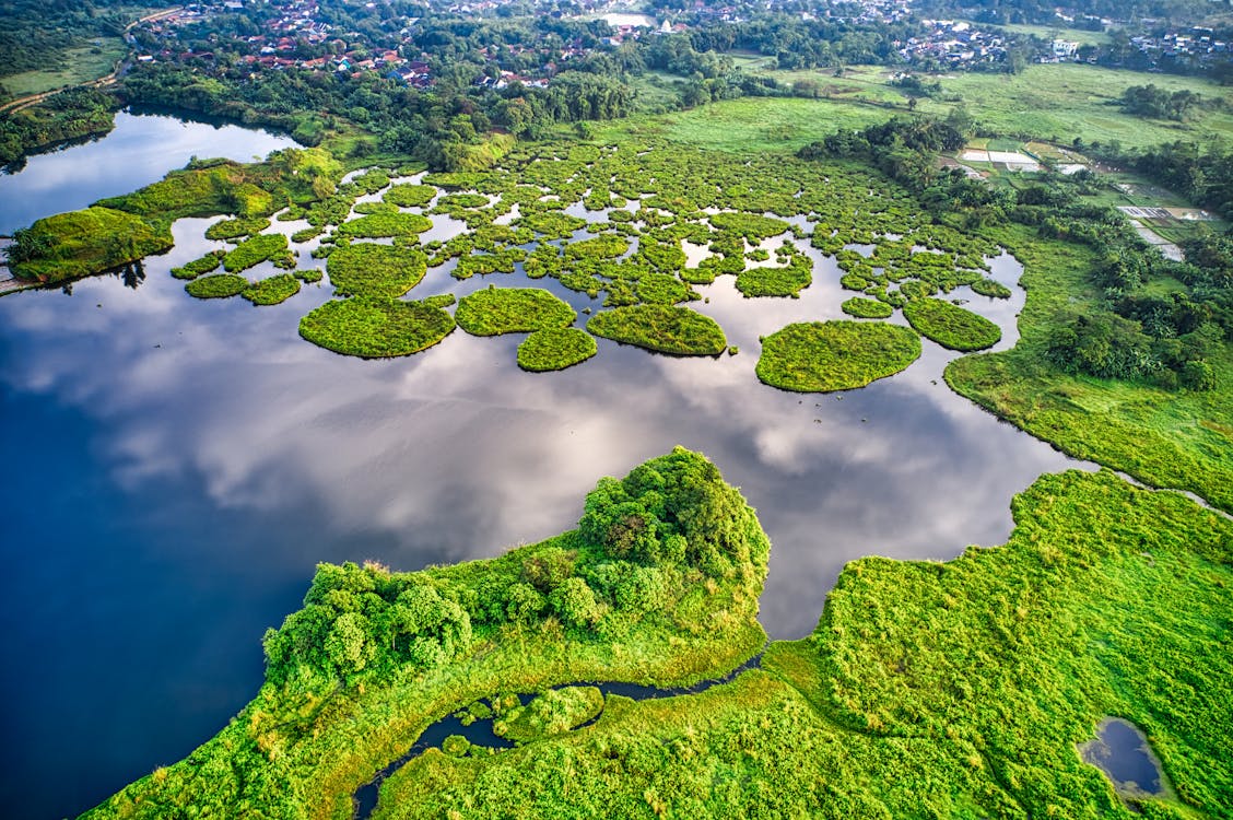 Fotografia De Paisagem Das Ilhas Verdes