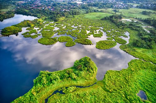 Free Picturesque aerial view of lush greenery and water landscape in Banten, Indonesia. Stock Photo