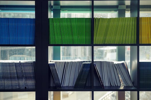 Neatly arranged books with colored covers on library shelves in soft natural light.