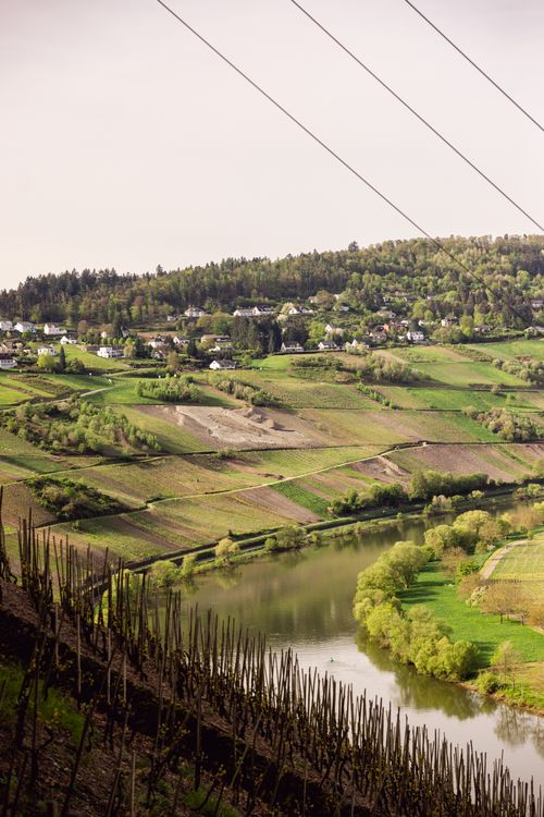Free Idyllic view of a vineyard on rolling hills by a tranquil river in the countryside during fall. Stock Photo