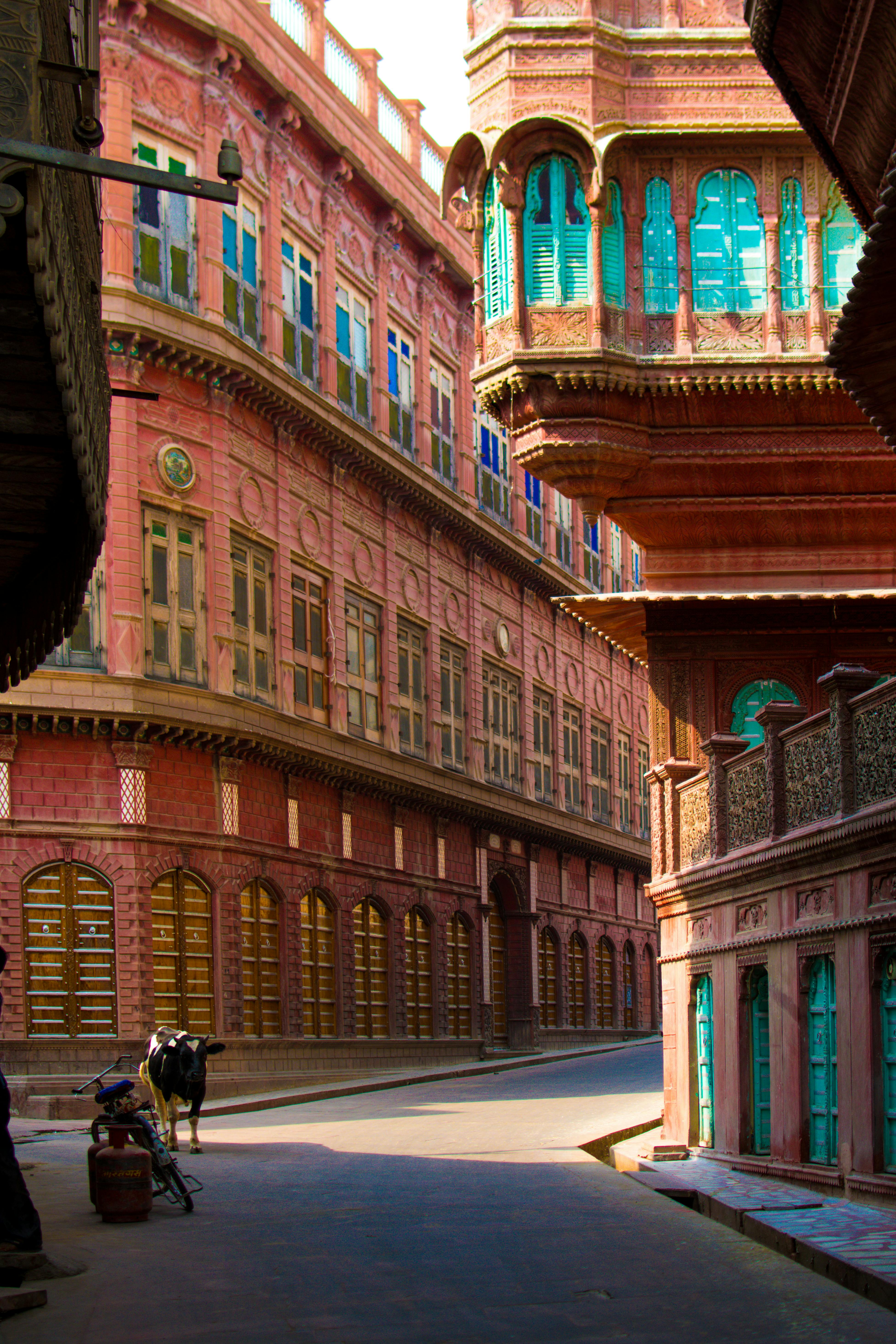 比卡内尔一条充满活力的街道上，粉红色的砂岩建筑展示了印度的历史风貌