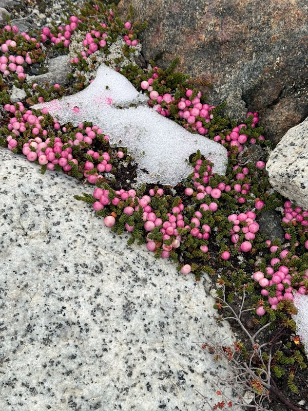 Snow Rocks Photos, Download The BEST Free Snow Rocks Stock Photos & HD ...