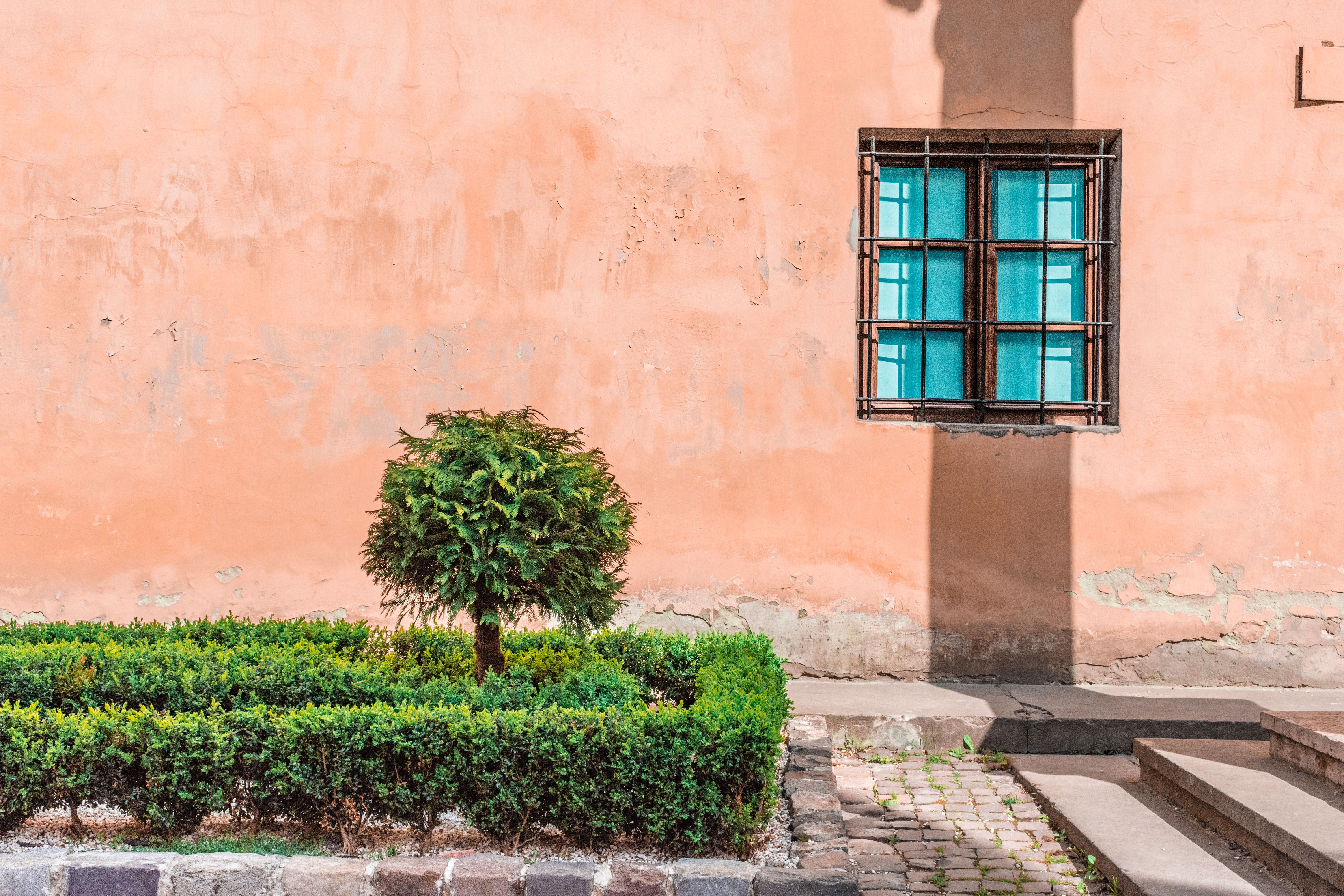 Exterior Painting in Aldwych — clean edges cut in around trim and sockets