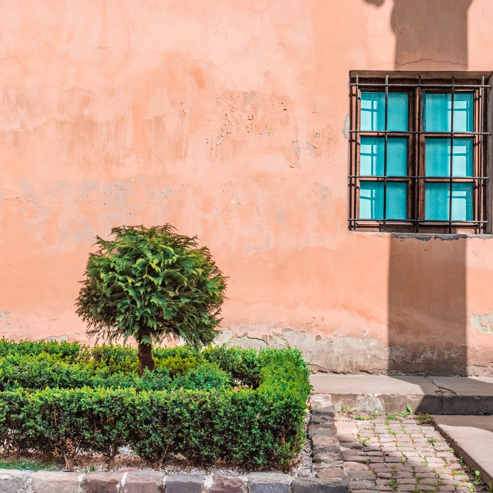 Exterior Painting in Aldwych — clean edges cut in around trim and sockets