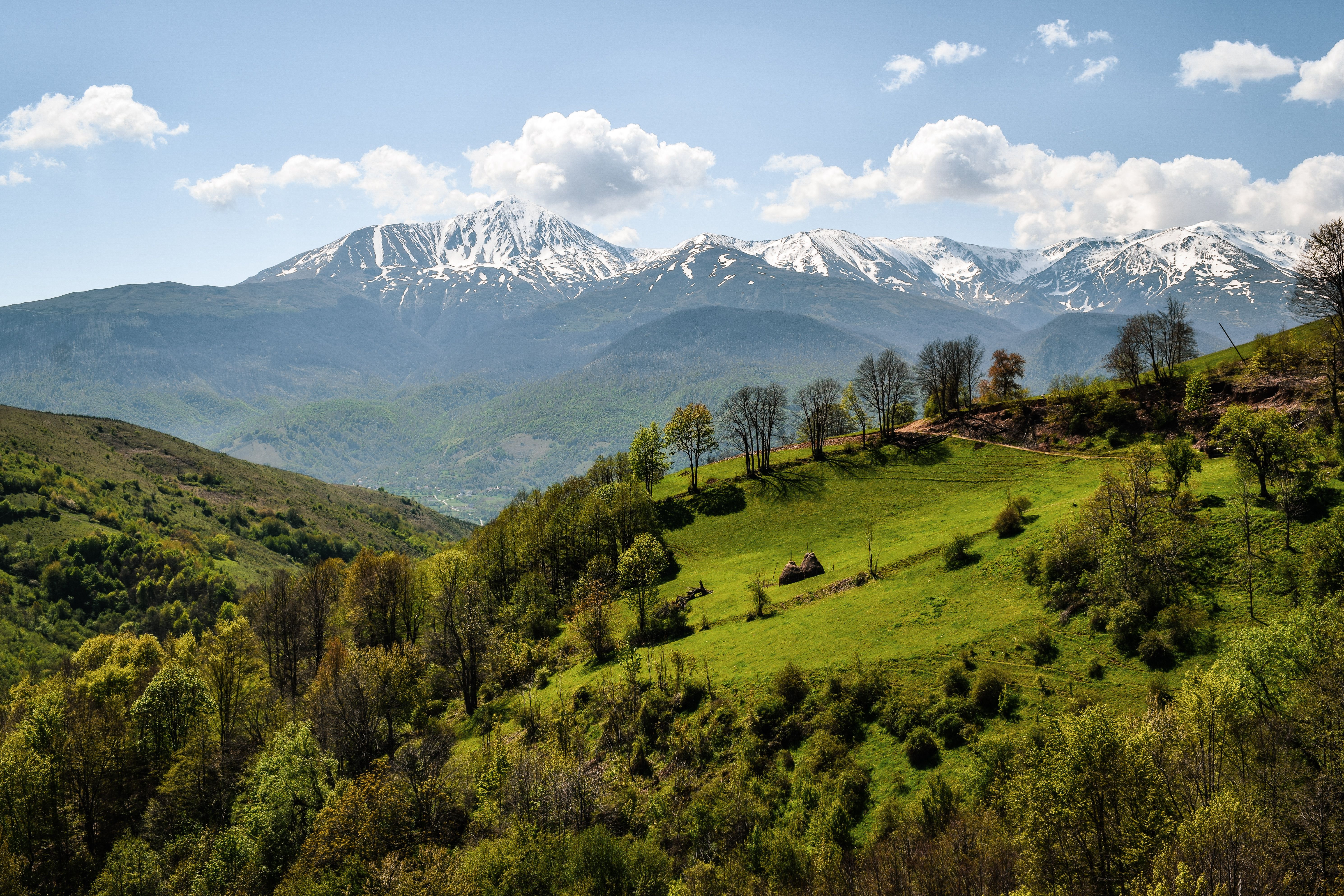 Scenic View of a Green Valley and Snowcapped Mountains · Free